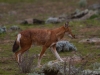 rel7d_-2013-05-25_13-43-59