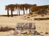 Oasis | Ain el Serw